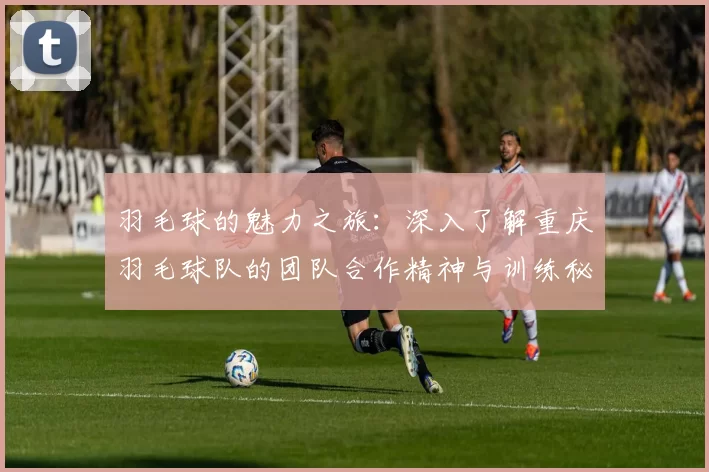 羽毛球的魅力之旅：深入了解重庆羽毛球队的团队合作精神与训练秘辛