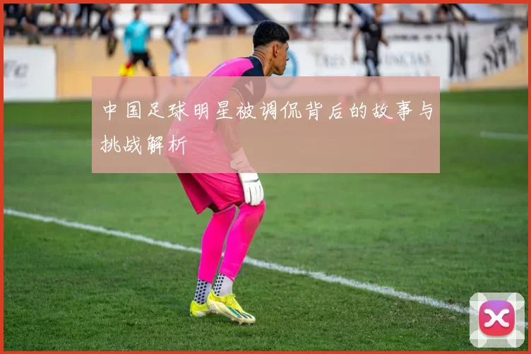 中国足球明星被调侃背后的故事与挑战解析
