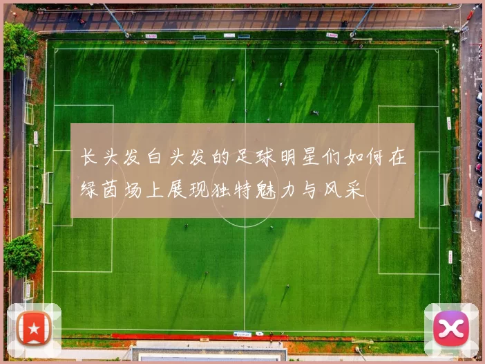 长头发白头发的足球明星们如何在绿茵场上展现独特魅力与风采
