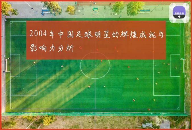 2004年中国足球明星的辉煌成就与影响力分析