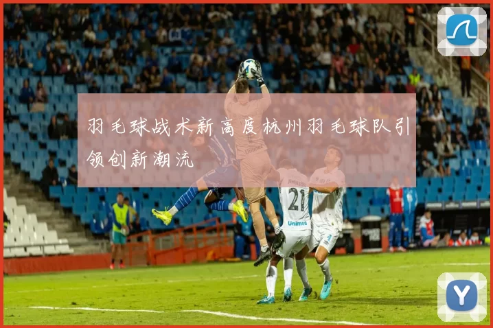 羽毛球战术新高度杭州羽毛球队引领创新潮流