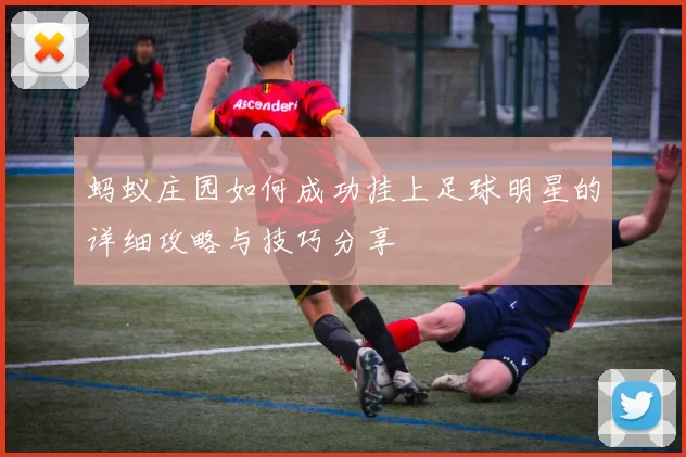 蚂蚁庄园如何成功挂上足球明星的详细攻略与技巧分享