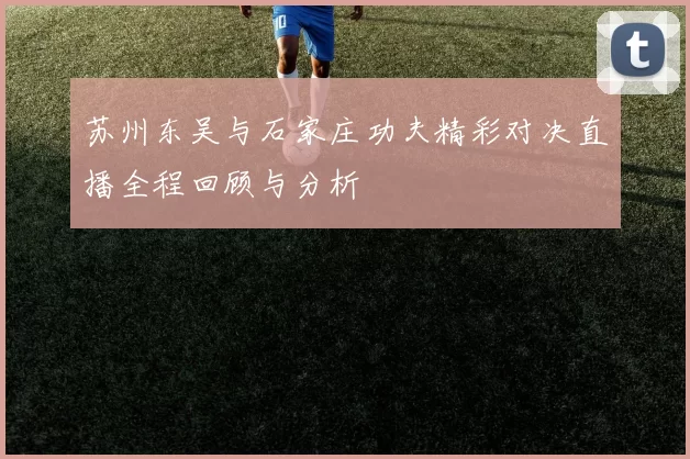 苏州东吴与石家庄功夫精彩对决直播全程回顾与分析