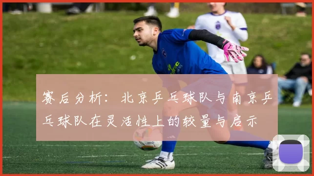 赛后分析：北京乒乓球队与南京乒乓球队在灵活性上的较量与启示