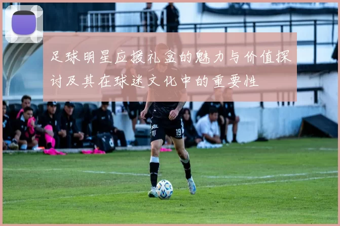 足球明星应援礼盒的魅力与价值探讨及其在球迷文化中的重要性