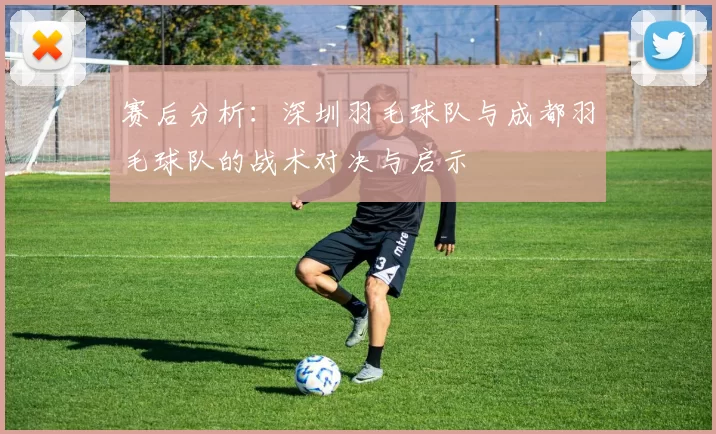 赛后分析：深圳羽毛球队与成都羽毛球队的战术对决与启示