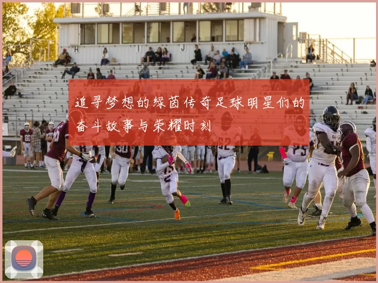 追寻梦想的绿茵传奇足球明星们的奋斗故事与荣耀时刻