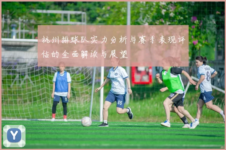 杭州排球队实力分析与赛季表现评估的全面解读与展望