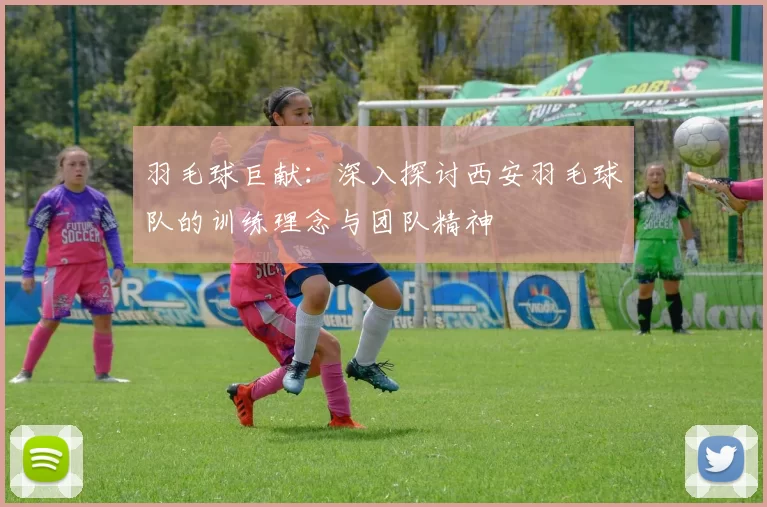 羽毛球巨献：深入探讨西安羽毛球队的训练理念与团队精神