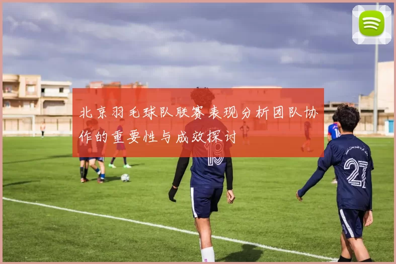 北京羽毛球队联赛表现分析团队协作的重要性与成效探讨