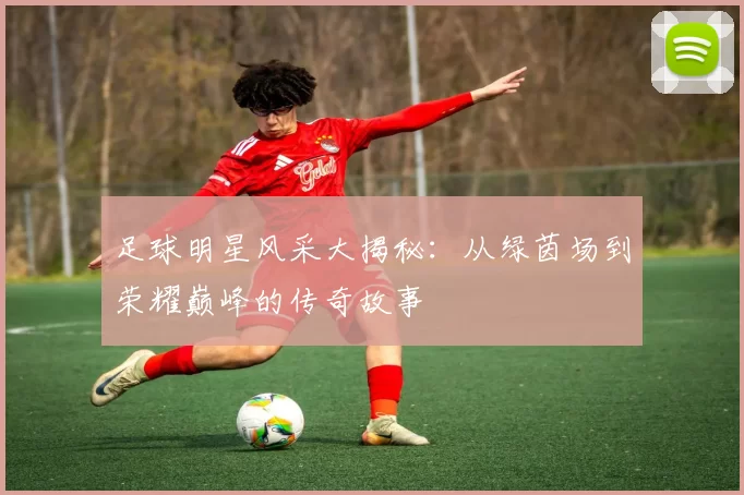 足球明星风采大揭秘：从绿茵场到荣耀巅峰的传奇故事
